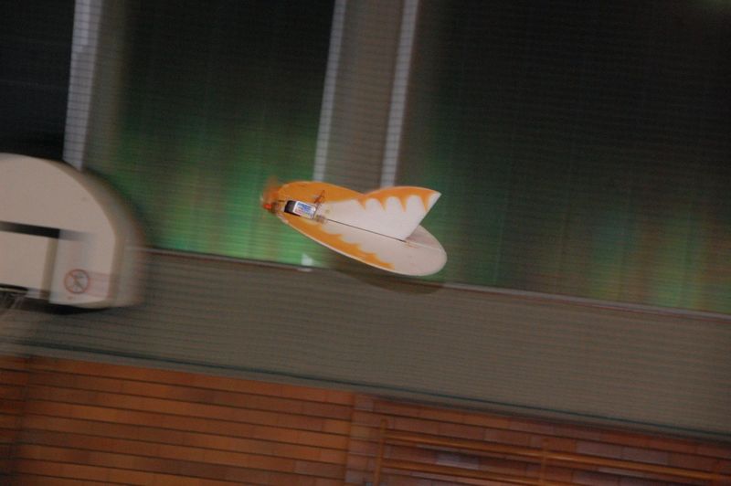 Bild 22 von 24